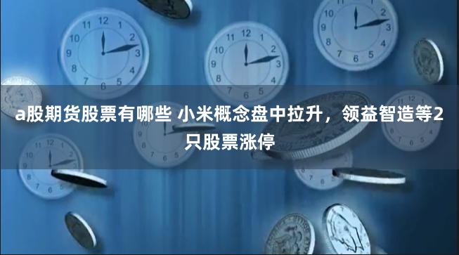 a股期货股票有哪些 小米概念盘中拉升，领益智造等2只股票涨停